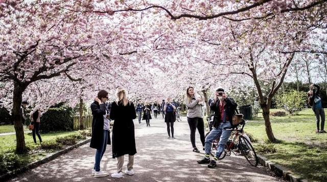 Dinamarca ocupa el séptimo lugar. Sus habitantes tienen una riqueza per cápita de 81,293 euros (US$ 91,217). (Foto: Reuters)