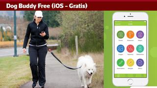 Vea las mejores apps para dueños de perros