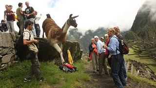 Arribo de turistas extranjeros a la Macro Región Sur creció 8.5% el año pasado