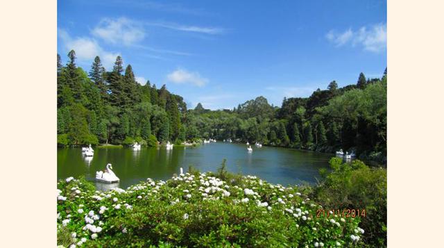 Gramado, Brasil. El pequeño pueblo brasileño de Gramado es un lugar pintoresco y boscoso que ofrece algunas sorpresas encantadoras. Después de que hayas disfrutado de los botes a pedales y los pinos traídos de la Selva Negra que rodean el Lago Negro, visi