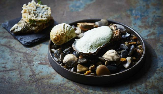 FOTO 30 | 30. Islas Frisias (Países Bajos/ Alemania/Dinamarca). El turismo sustentable florece en las ventosas islas Frisias de Europa occidental, que comparten Dinamarca, Alemania y los Países Bajos, unidas por el mar del mismo nombre, un punto neurálgico de biodiversidad. El neerlandés Parque Nacional Lauwersmeer comenzó a ofrecer safaris de noches oscuras en 2018 y abrirá un centro de rescate de focas este año, que permitirá a los visitantes rehabilitar y liberar a dos especies de focas endémicas; mientras que en 2020 abrirá el ultramodernista Centro del Patrimonio Mundial del Mar de Frisia. (Foto: NYTimes)