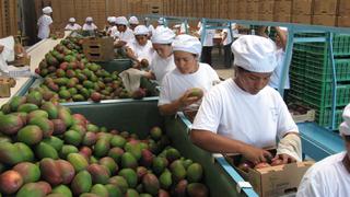 Ley de Promoción Agraria: ¿Qué están dispuestos a ceder en los temas laborales?