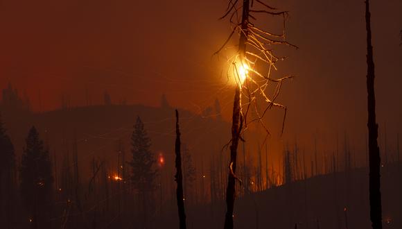 El fuego, iniciado el 22 de julio, ha devastado cerca de 8,000 hectáreas y está contenido en una tercera parte. (Foto: David McNew | AFP)