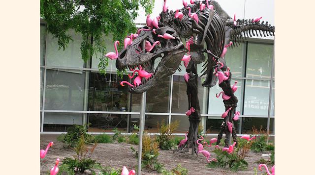 También cuenta con una famosa estatua de los dinosaurios a menudo cubierto de flamencos. rumor que los empleados sostienen que se trata de un recordatorio a sus empleados para que no se extingan.