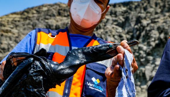 Derrame de petróleo: imágenes del daño en las playas de Ventanilla