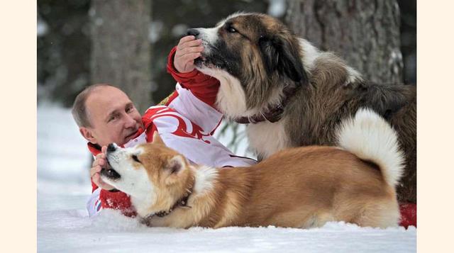 FOTO 1 | El presidente ruso juega con sus perros &#039;Buffy&#039; y &#039;Yume&#039;, en su residencia de Novo- Ogariovo, a las afueras de Moscú, en marzo de 2013.