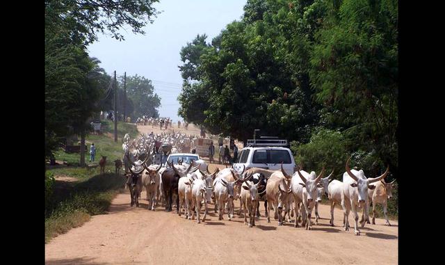 Foto 4 | 4. Sudán del Sur  (Foto: Wikipedia)