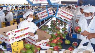 Agroexportadores peruanos fortelecerán su presencia en once mercados durante el 2014
