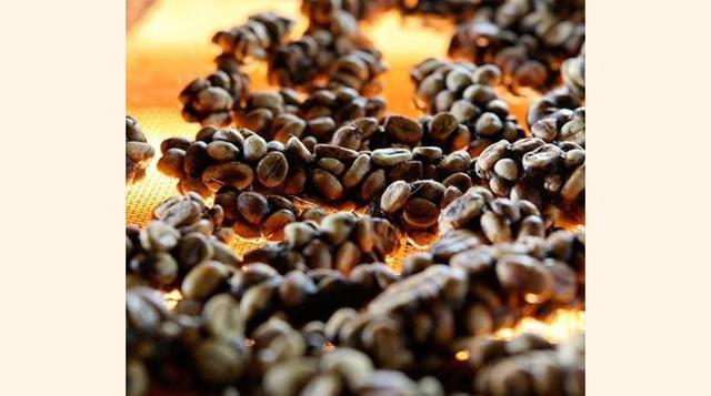 Kopi Luwak (US$ 425 el kilo). El kopi luwak o café de civeta se obtiene de las heces de este animal, que tras ingerir los frutos maduros de café, expulsa el grano parcialmente digerido y modificado por las enzimas de su estómago. Es la variedad más cara y