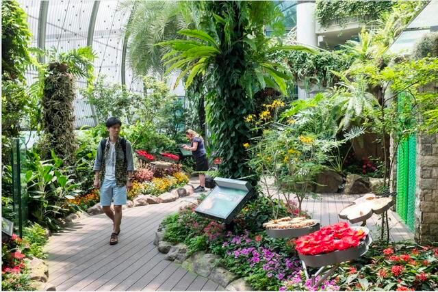 FOTO 2 | Aeropuerto Internacional de Incheon (Corea del Sur)