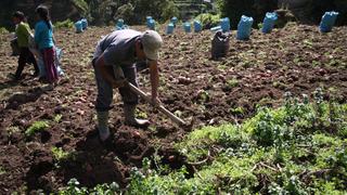 Conveagro cuestiona proyecto de ley de Segunda Reforma Agraria por no incluir a gremios agrarios