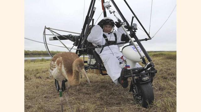 FOTO 2 | El presidente ruso se dispone a seguir el vuelo de las cigüenas en su ruta migratoria hacia Asia sobre un ala delta motorizada.