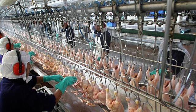 La concertación privó a los consumidores de su derecho a elegir entre distintos proveedores, precios y calidades, dijo el Indecopi. (Foto: GEC)