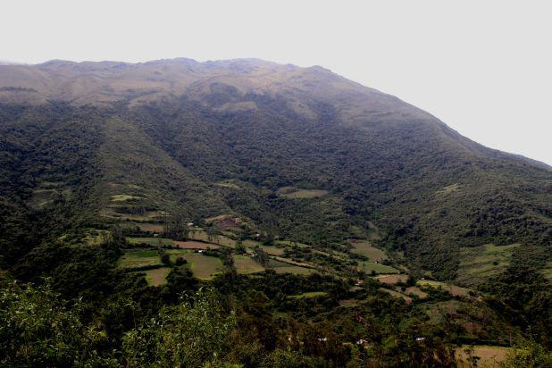 Restauración (Foto: Serfor).