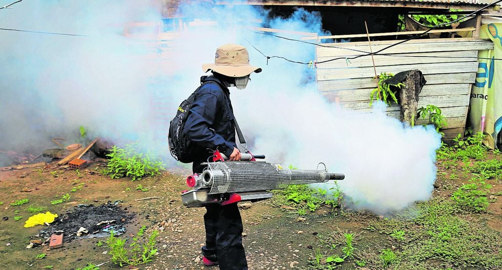 Epidemia del dengue ya está en 15 distritos de Lima Perú Gestión