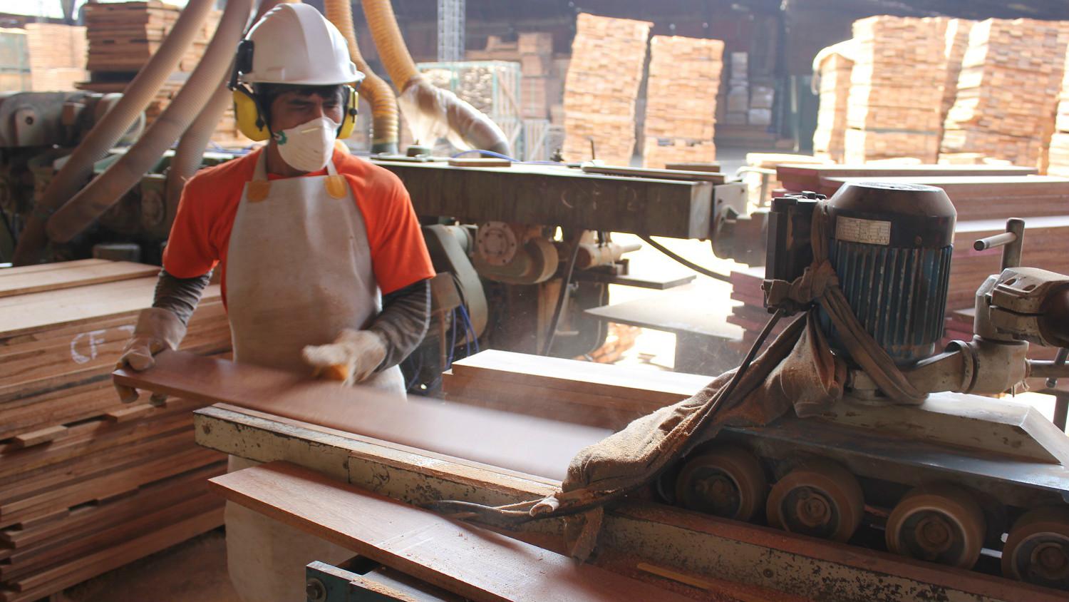 Las exportaciones de madera continúan cayendo, según ADEX. (Foto: Difusión)