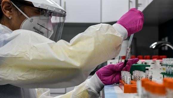 A lab technician sorts blood samples for COVID-19 vaccination study at the Research Centers of America in Hollywood, Florida on August 13, 2020. (Photo by CHANDAN KHANNA / AFP)