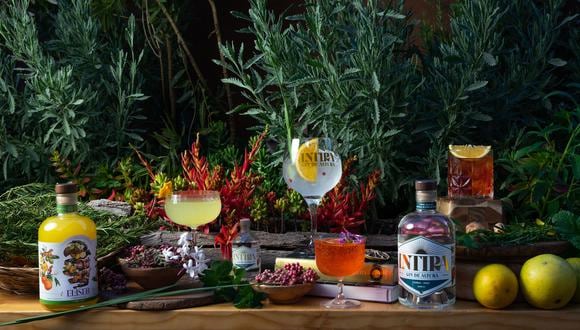 Inti Distillery apuesta por categoría europea de bebidas basada en cítricos, pero con estilo cusqueño.