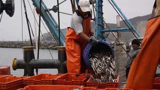 PesCo: ¿Cómo emprender un negocio de pesca responsable para exportar?