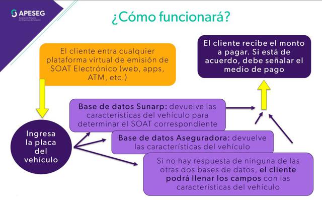Foto 2 | El usuario debe ingresar  la placa del vehículo para recibir el monto que debe pagar.