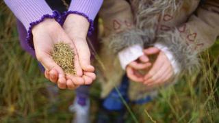 ¿Cuáles son las marcas más recordadas en relación a la biodiversidad?