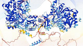 El “google maps” de las proteínas traerá hallazgos que aún no pueden preverse