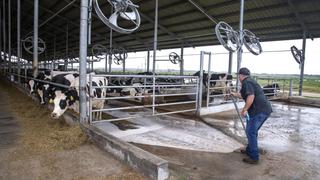 La falta de mano de obra es el mayor desafío para los agricultores de EE.UU.