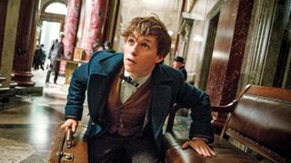 Saga derivada de Harry Potter, "Animales Fantásticos", tendrá cinco películas, anuncia J.K. Rowling