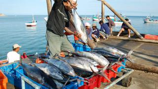 Modifican límite de pesca de jurel en 35,544 toneladas para embarcaciones artesanales