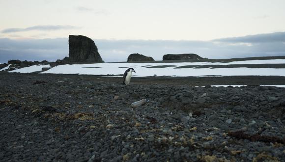 El estudio concluye que es probable que la Antártida enfrente estrés y daños considerables en las próximas décadas. (Foto: Bloomberg)