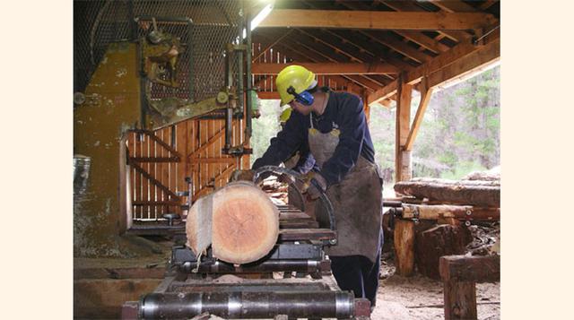 El sector maderero emplea a 13.2 millones de personas formalmente y a 41 millones de manera informal.