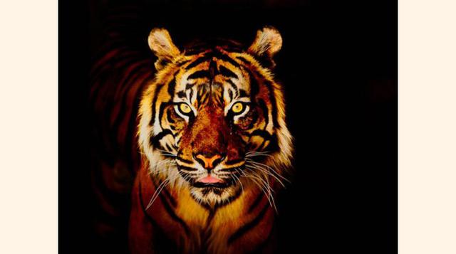 Zoologico de Cali, Cali, Colombia. “Lo mejor de Cali”