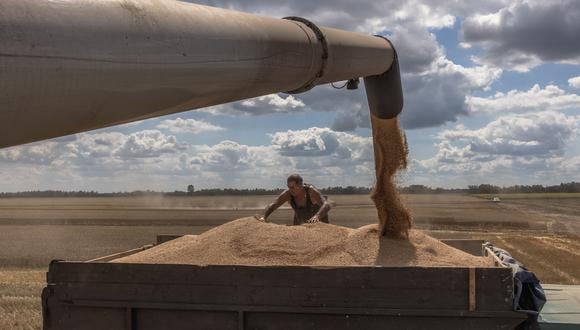Rusia y Ucrania son los principales proveedores de cereales del mundo. El bloqueo de las exportaciones ucranianas disparó los precios de los alimentos en todo el mundo. EFE/EPA/ROMAN PILIPEY