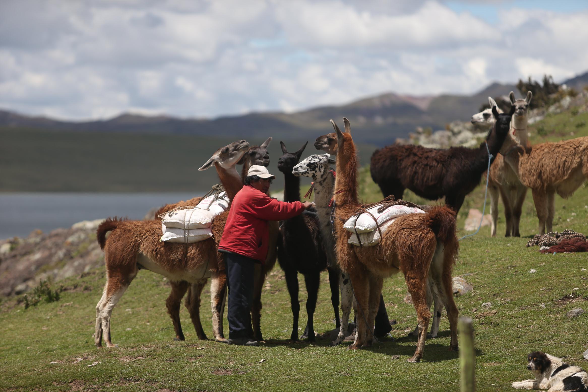 Los reservorios ayudarán al sector agropecuario, indicó el Minagri. (Foto: GEC)