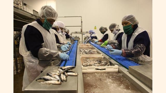 TASA fue reconocida gracias a su proyecto “AnchoveTASA, compromiso con la nutrición del país”, iniciativa que responde a una serie de acciones para promover el consumo humano de la anchoveta. (Foto: USI)