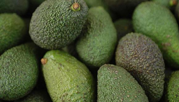 “Camposol, Danper, Agrícola Cerro Prieto, Viveros Génesis son algunos de los exponentes más importantes que tienen presencia en el sector con cultivos de palta y otros frutos como mango y arándano”, dijo la presidenta de ProColombia.