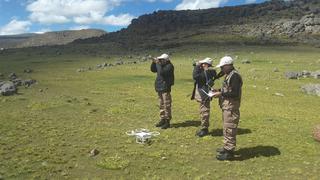 Minagri: implementan sistema de vigilancia con drones para evitar la caza furtiva de vicuñas en Ayacucho