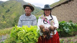 INEI: El año pasado 264,000 peruanos dejaron de ser pobres