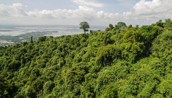 El Bosque Protector Cerro Blanco, una reserva privada de 6.078 hectáreas que contiene uno de los últimos remanentes de bosque seco de la costa ecuatoriana.(Foto: Ekosnegocios)