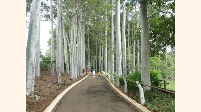 Zoologico de Americana, Americana, Brasil.