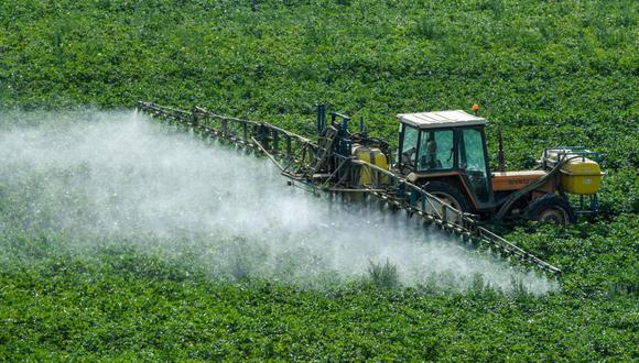 Un agricultor utiliza productos fitosanitarios (herbicidas, fungicidas e insecticidas) en un campo en Meteren, Francia. (Foto: AFP/Archivos)