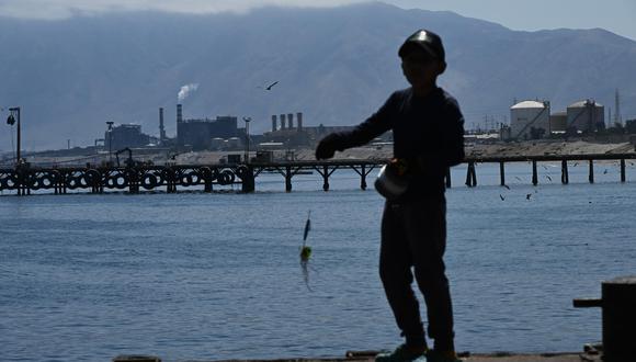 Un estudio realizado en 2019 y financiado por la región de Antofagasta demostró la importante presencia de metales pesados y materia orgánica en la bahía debido al vertido de residuos industriales y aguas residuales. (Foto: AFP)