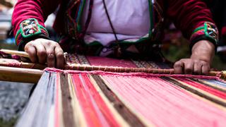 Producción de fibra de alpaca en zonas altoandinas, una oportunidad para jóvenes con talento ‘tech’