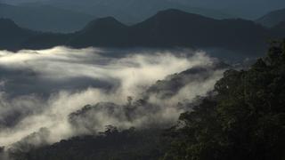 La superficie de ecosistemas degradados en Perú aumentó en 10.4% entre 2015 y 2020