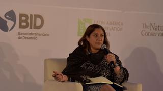 Los cuatro principios para impulsar la infraestructura sostenible para América Latina