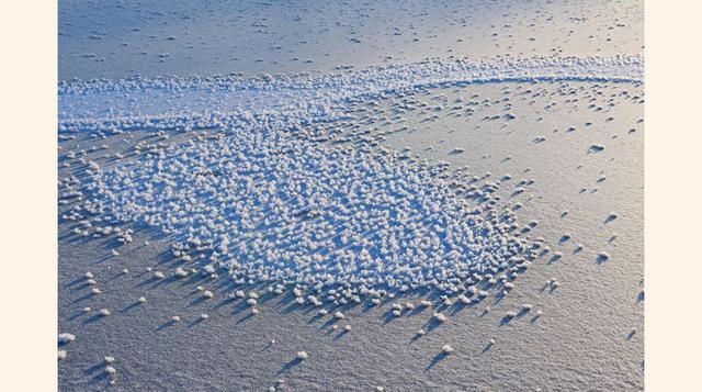 Las Flores del Hielo,en los mares polares, cuando el aire es más frío que la temperatura del agua, esta última se cristaliza bruscamente en la superficie, creando así un jardín de flores de hielo.