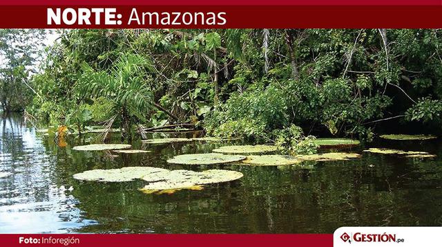 Amazonas: Los accesos desde la costa presentan bloqueos por deslizamientos. Los accesos terrestres desde Jaén y San Martín no presentan inconvenientes. Las empresas de transporte que conectan Chachapoyas con Lima (pasando por Trujillo y Chiclayo) han susp