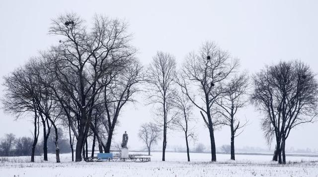 Un monumento de la Segunda Guerra Mundial cerca del pueblo de Babchin, Bielorrusia. Los árboles han vuelto a crecer en la zona cercana a donde se produjo el desastre nuclear de Chernobyl. (Foto: Reuters)