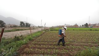 La industria agrícola en la CES apunta al trabajo optimizado con granjas conectadas