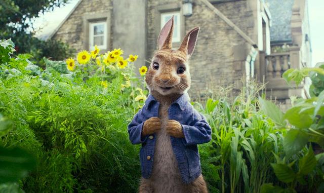 FOTO 13 | "Las travesuras de Peter Rabbit", basada en el clásico infantil de Beatrix Potter, quedó en la sétima posición. La película, que narra la historia de un conejo rebelde que trata de adentrarse en el huerto de un granjero, recaudó US$ 5.2 millones.